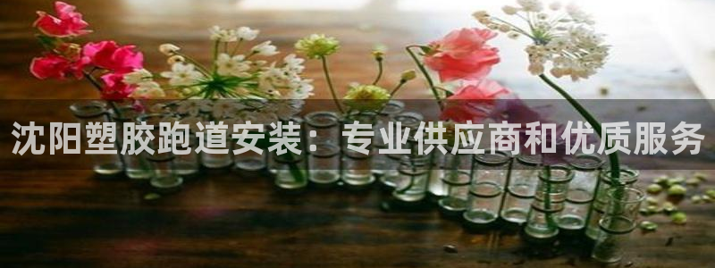 谈球吧平台app：沈阳塑胶跑道安装：专业供应商和优质