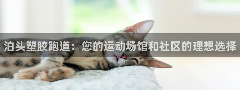 谈球吧体育app下载中心官网手机版：泊头塑胶跑道：您