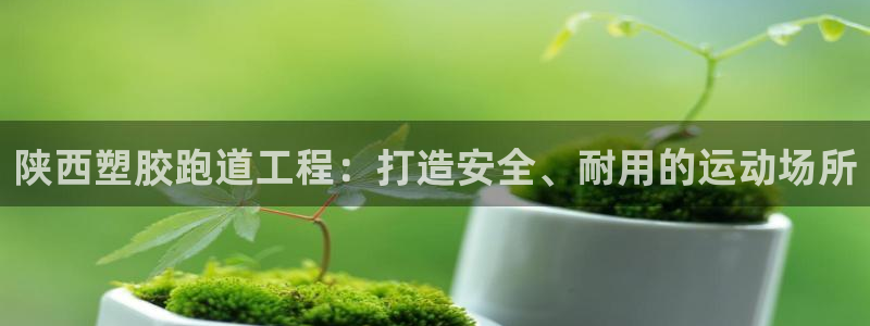 谈球吧是正规平台吗知乎