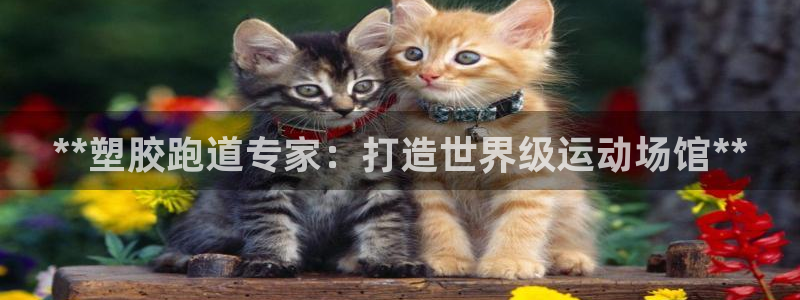 谈球吧app下载安装：**塑胶跑道专家：打造世界级运动场馆**