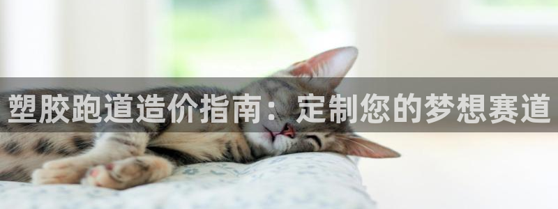谈球吧体育app下载中心：塑胶跑道造价指南：定制您的