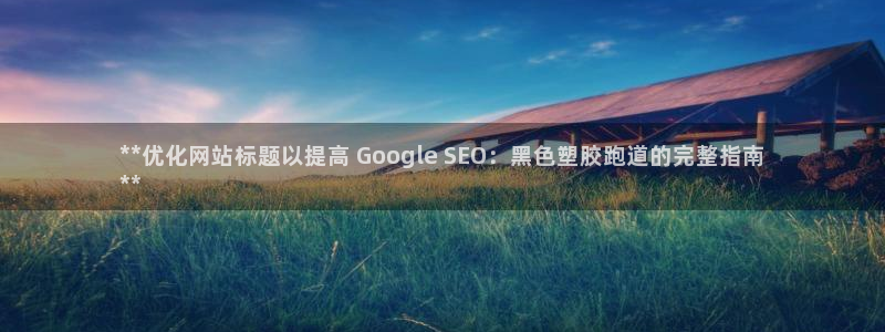 谈球吧在线登录：**优化网站标题以提高 Google