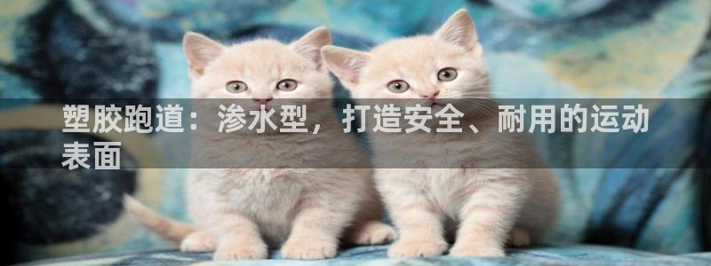 谈球吧体育app下载中心官网手机版：塑胶跑道：渗水型