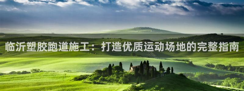 谈球吧体育官方入口：临沂塑胶跑道施工：打造优质运动场地的完整指南