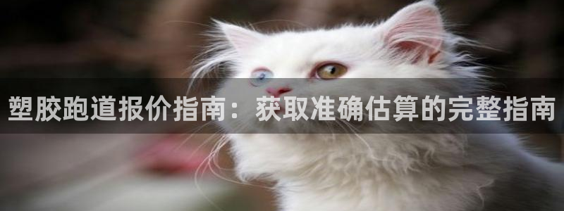 谈球吧体育app登陆不了：塑胶跑道报价指南：获取准确估算的完整指南