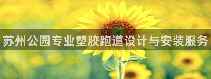 谈球吧网页登录：苏州公园专业塑胶跑道设计与安装服务