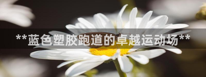 谈球吧官网在线入口免费观看视频：**蓝色塑胶跑道的卓越运动场**