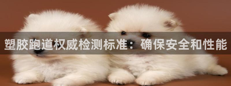谈球吧官网在线入口手机版免费观看：塑胶跑道权威检测标准：确保安全和性能