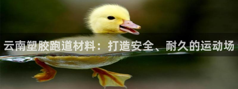 谈球吧网app官网下载：云南塑胶跑道材料：打造安全、耐久的运动场