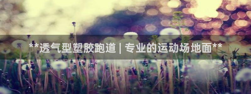 谈球吧属于哪个：**透气型塑胶跑道 | 专业的运动场地面**