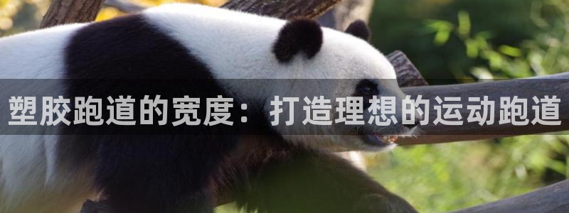 谈球吧体育app下载官网手机版苹果：塑胶跑道的宽度：打造理想的运动跑道