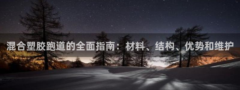 谈球吧官网在线入口：混合塑胶跑道的全面指南：材料、结构、优势和维护