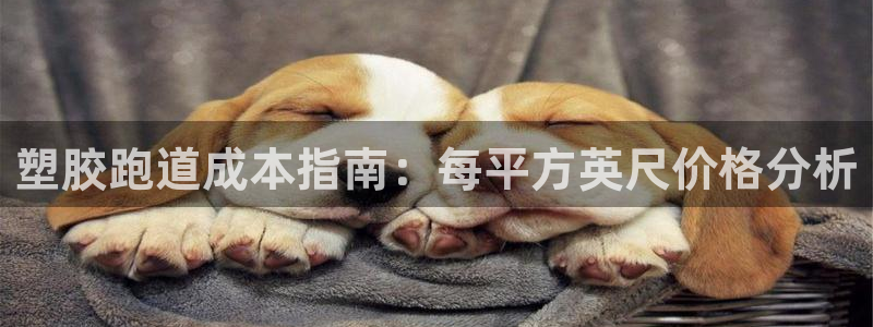 谈球吧体育app下载官网手机版：塑胶跑道成本指南：每平方英尺价格分析