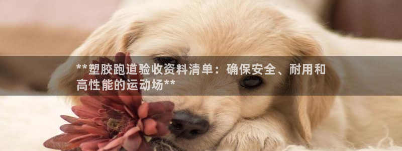 谈球吧体育官网入口：**塑胶跑道验收资料清单：确保安全、耐用和
高性能的运动场**