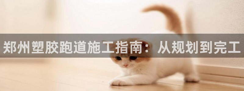 谈球吧官网下载：郑州塑胶跑道施工指南：从规划到完工