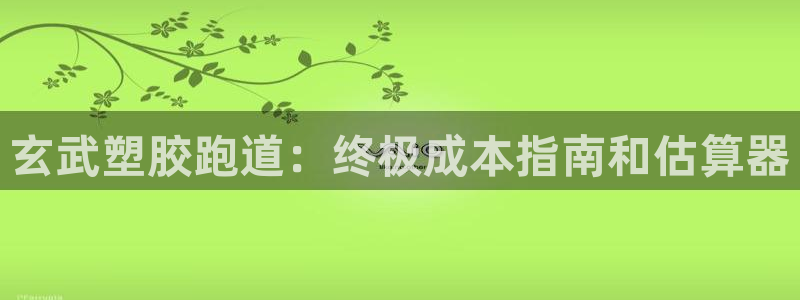 谈球吧体育app登陆不上：玄武塑胶跑道：终极成本指南和估算器