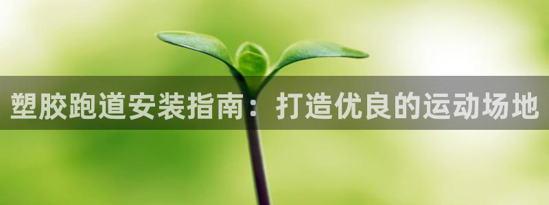 谈球吧体育app官网：塑胶跑道安装指南：打造优良的运动场地