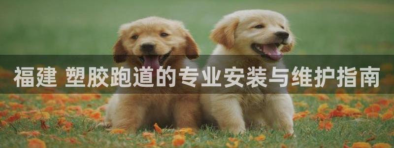谈球吧官网在线入口免费观看视频下载：福建 塑胶跑道的专业安装与维护指南
