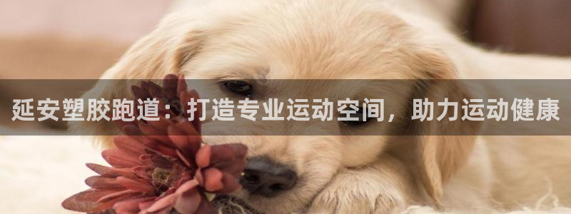 谈球吧全站app下载手机版：延安塑胶跑道：打造专业运动空间，助力运动健康