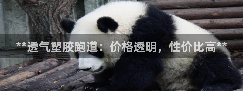 谈球吧体育app下载中心官网苹果：**透气塑胶跑道：价格透明，性价比高**