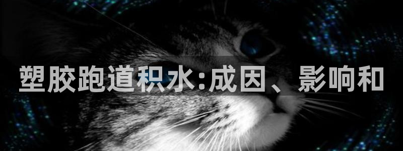 谈球吧体育app下载中心官方：塑胶跑道积水:成因、影响和