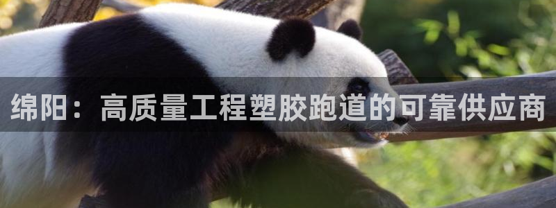 谈球吧app靠谱吗：绵阳：高质量工程塑胶跑道的可靠供应商