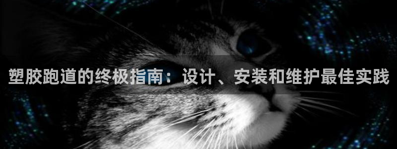 谈球吧app体育下载：塑胶跑道的终极指南：设计、安装和维护最佳实践