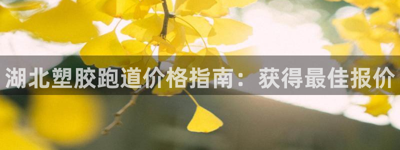 谈球吧APP：湖北塑胶跑道价格指南：获得最佳报价
