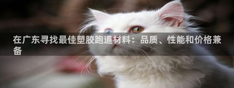 谈球吧app赛事分析在哪里看：在广东寻找最佳塑胶跑道