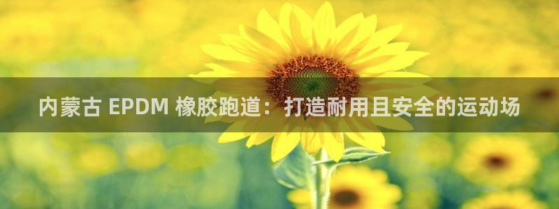 谈球吧入口：内蒙古 EPDM 橡胶跑道：打造耐用且安