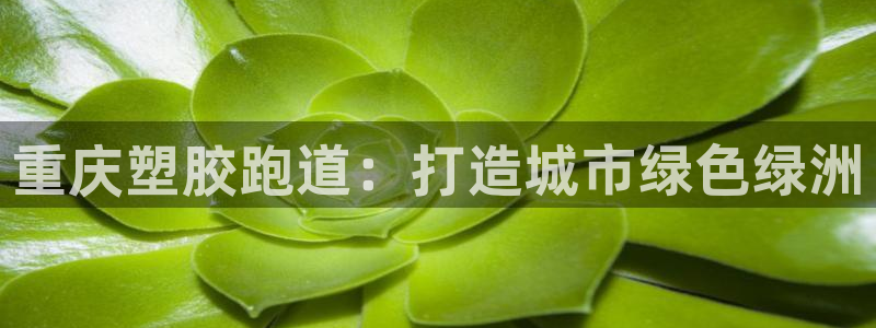 谈球吧体育app下载足球比赛直播