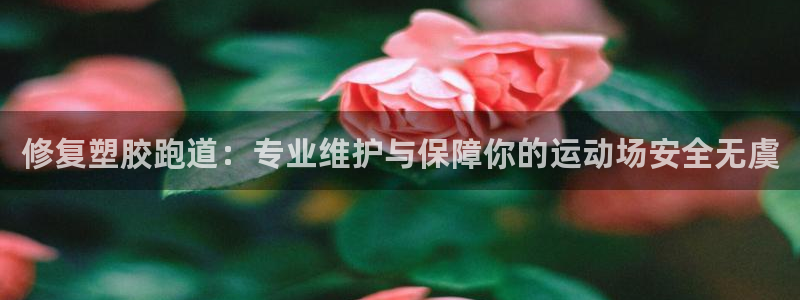 谈球吧网app官网下载
