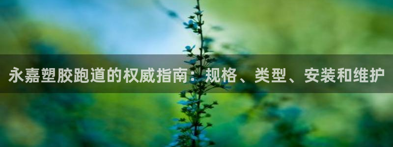 谈球吧电子：永嘉塑胶跑道的权威指南：规格、类型、安装和维护