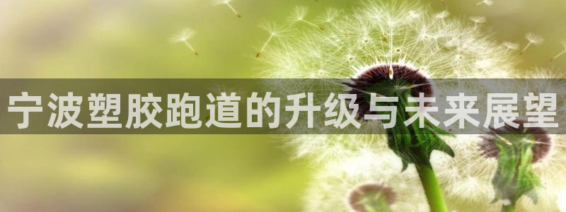 谈球吧体育综合
