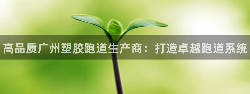 谈球吧可靠吗：高品质广州塑胶跑道生产商：打造卓越跑道