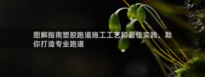 谈球吧体育官网在线入口免费观看：图解指南塑胶跑道施工工艺和最